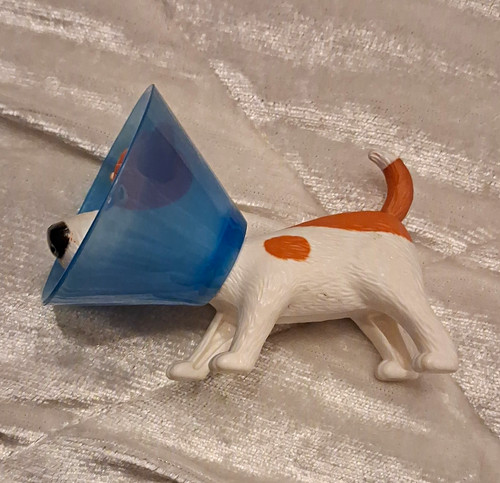 Max - russell, terrier)