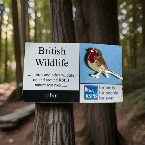 Rspb pin badge robin - rspb-pin,