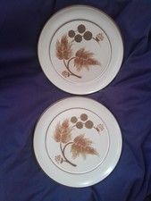 Denby Cotswold 8 Inch Plates