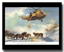 Westland Sea King HAR3 helicopter RAF 202 Squadron Exmoor ponies framed picture
