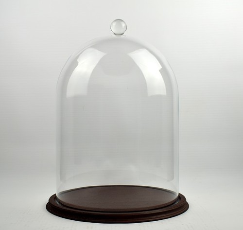 Clear circular glass dome - circular,