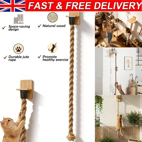 Cat wall mounted furniture - furniture,