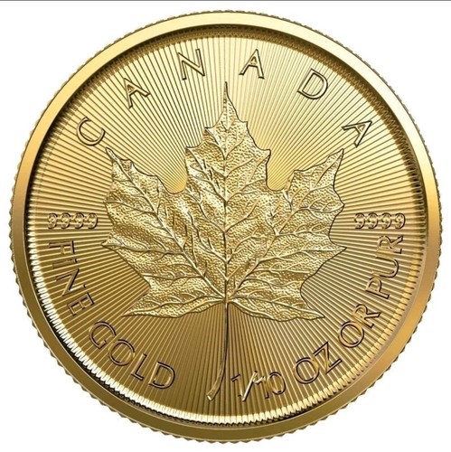 Canadian gold maple - gold,