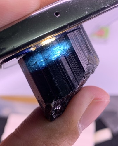 Gram terminated bicolor ink - terminated,