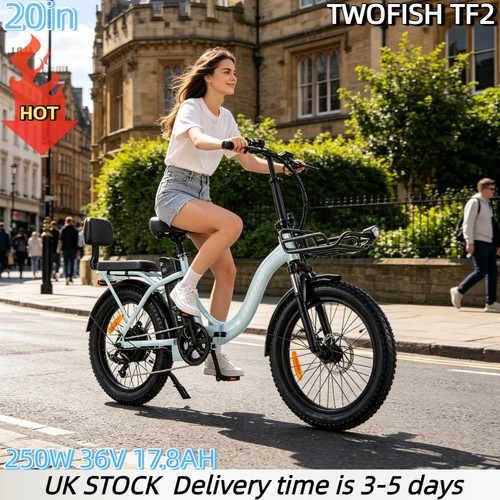Fat tire bike 250w - 20",