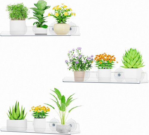 Window plant floating - window,