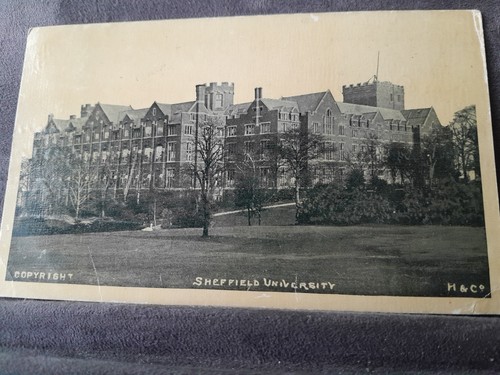 Sheffield university vt304 - university,