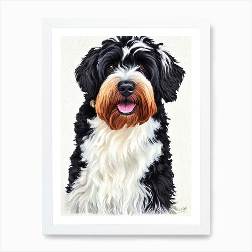 Black russian terrier - russian,