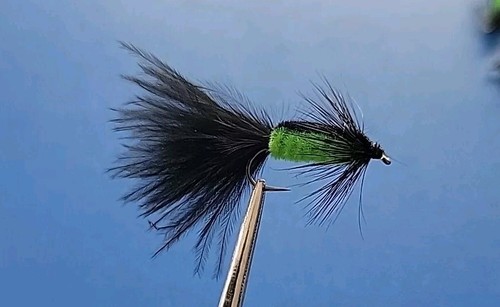 Barbless montana taddy - barbless,