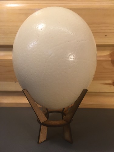 Genuine natural blown ostrich - natural,