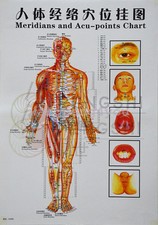Chinese medicine Body