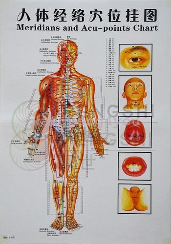 Chinese medicine body - chinese,