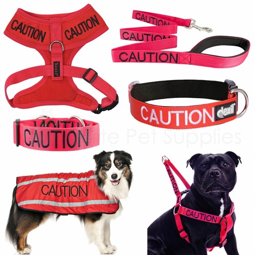 Dexil caution worded dog - dog, lead