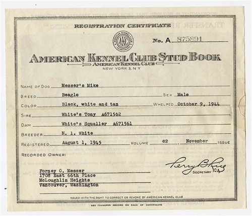 1945 american kennel club - 1945,