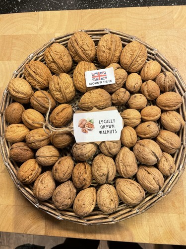 English fresh walnuts 1kg - english,