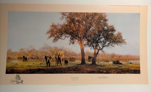 David shepherd limited - limited, edition