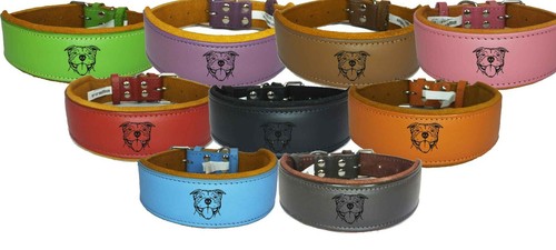 Leather staffy dog collars - staffy,