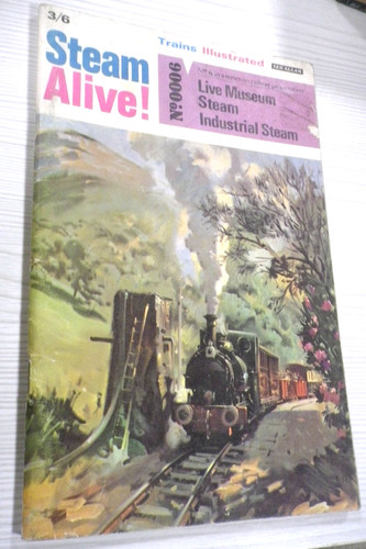 Steam alive live museum - 6,