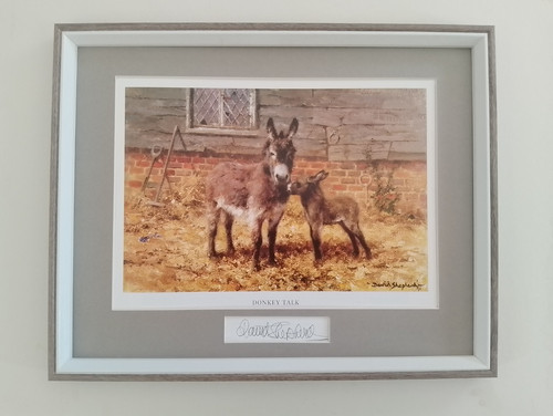 David shepherd print donkey - david,
