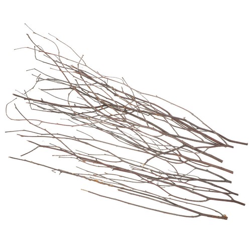 Pcs twig decoration natural - 12,