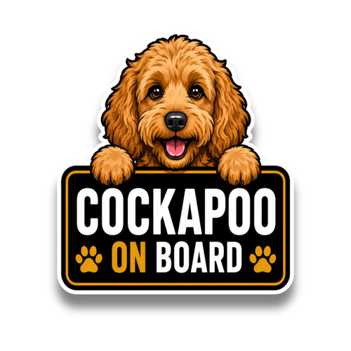 Cute cockapoo dog - cute,