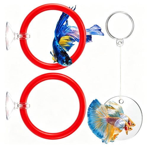 Betta fish enrichment toys - fish,