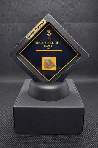 Rare beauty and the - and, beast