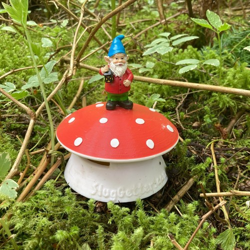 Sluggetter gnome mushroom - gnome,