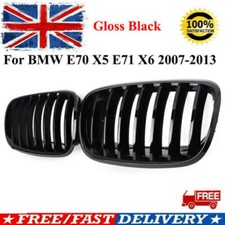 Front Kidney Grill Grilles