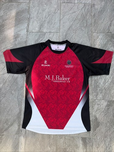 Somerset county cricket club - somerset,