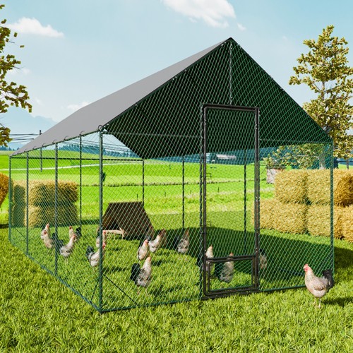 Xxl upgraded chicken - chicken, coop