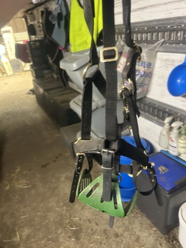 Green guard muzzle pony - guard,