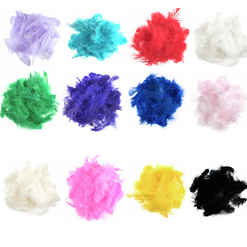 Trimits hen feathers - hen, bird