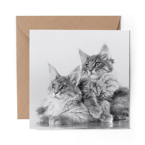 Blank greeting card - 1, bw