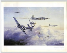 1987 Robert Taylor Aviation