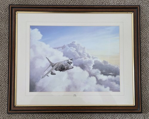 Harrier framed print colin - framed,