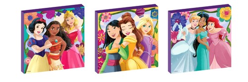 Disney princess set 3 - set,