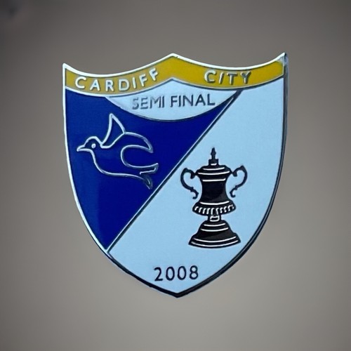 Cardiff city football club - cardiff,