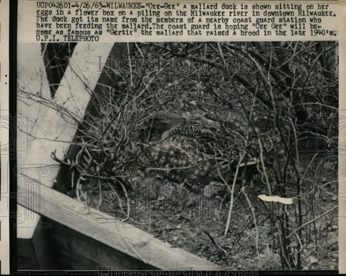 1963 press photo milwaukee - 1963,