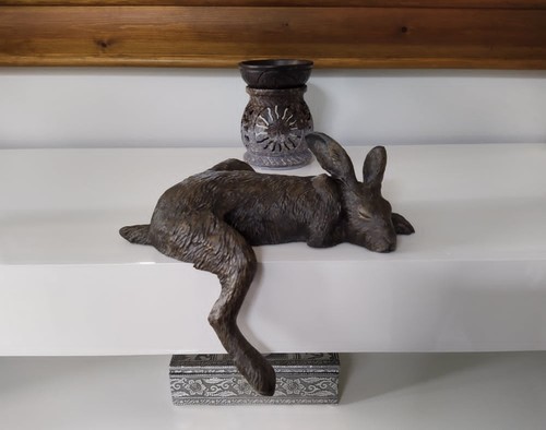 Harlan sleeping hare - hare, shelf