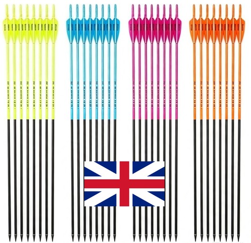 Packs carbon arrows - 12,