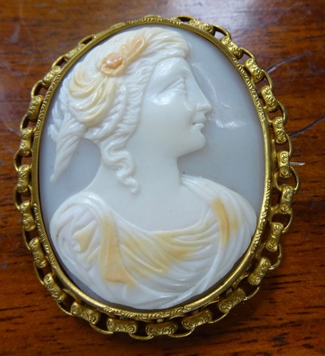Antique carved shell cameo - antique,