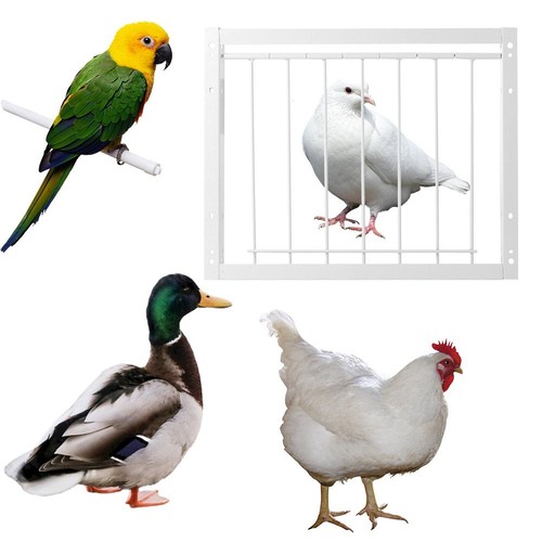 Pigeon door metal - wire, bars