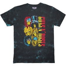Guns N' Roses UYI Tour 91 Dip