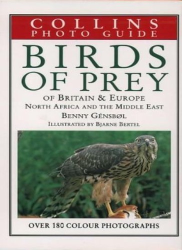 Birds prey europe - prey, of