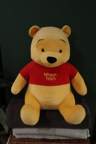 Winnie the pooh large teddy - winnie,