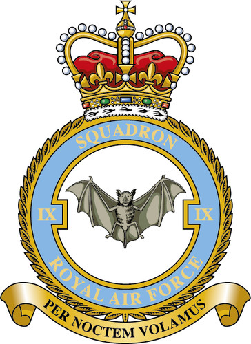 Squadron raf badge patch - 9,