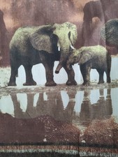 Vintage? large door window