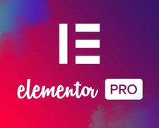 Elementor Pro - SAME DAY