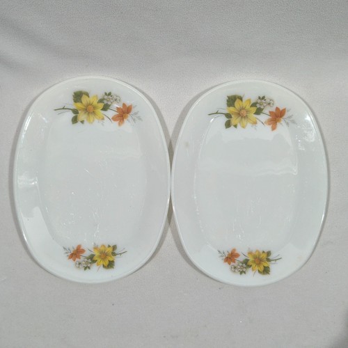 Vintage jaj pyrex - autumn, glory